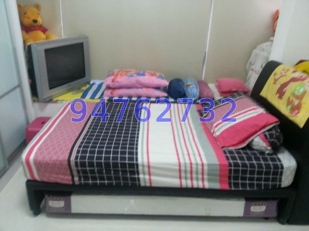 Alexis (D3), Apartment #51590422